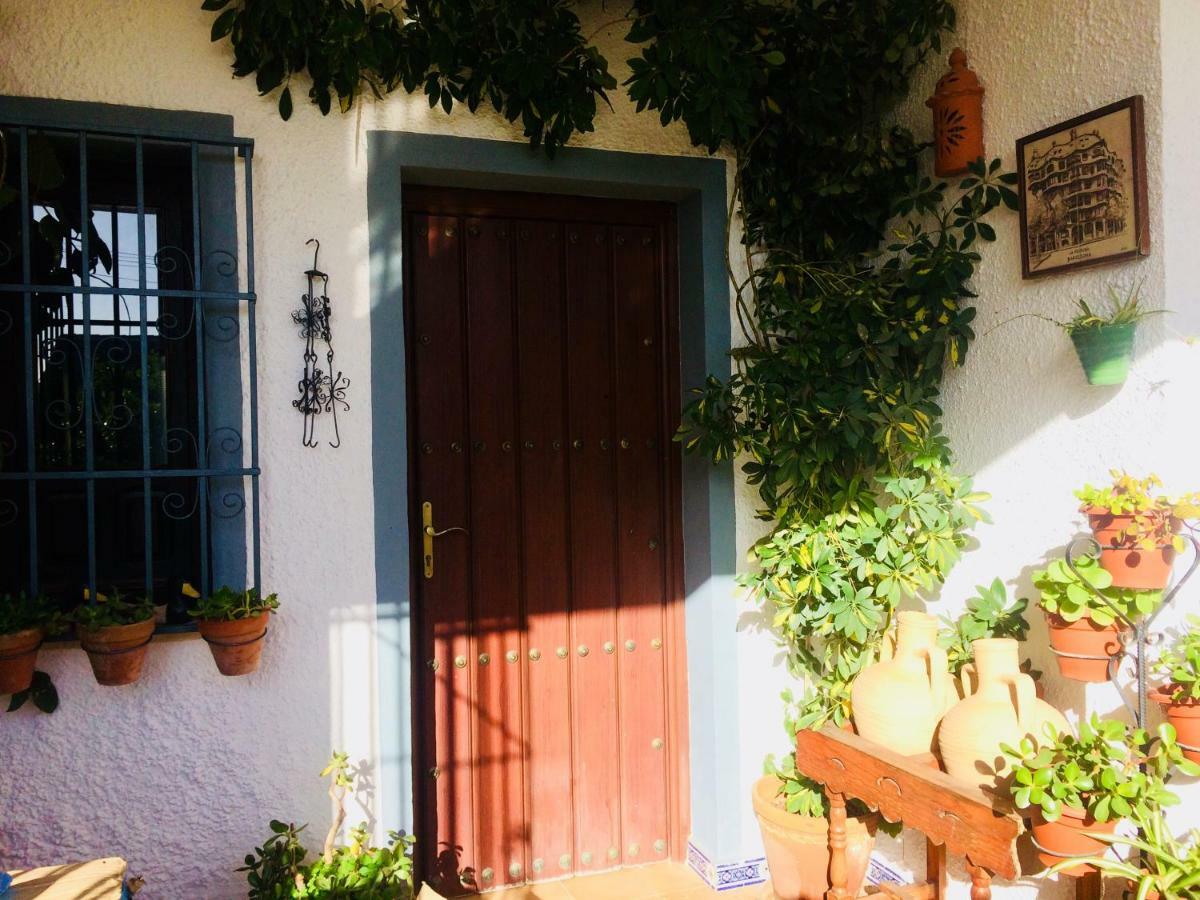 Villa Ferrer Sevilla Ginés Exterior foto